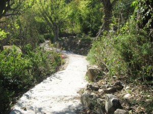 CC-Khunja-Sampark-Marg-Budogi-